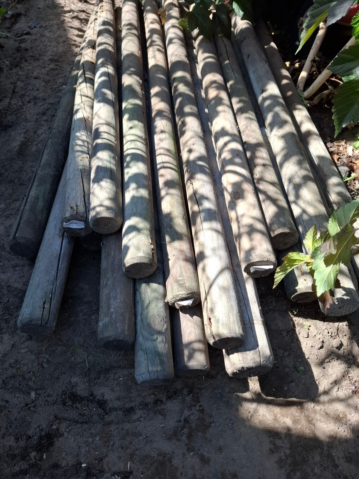 25 x Tuin of Weidepalen, Tuin en Terras, Ophalen