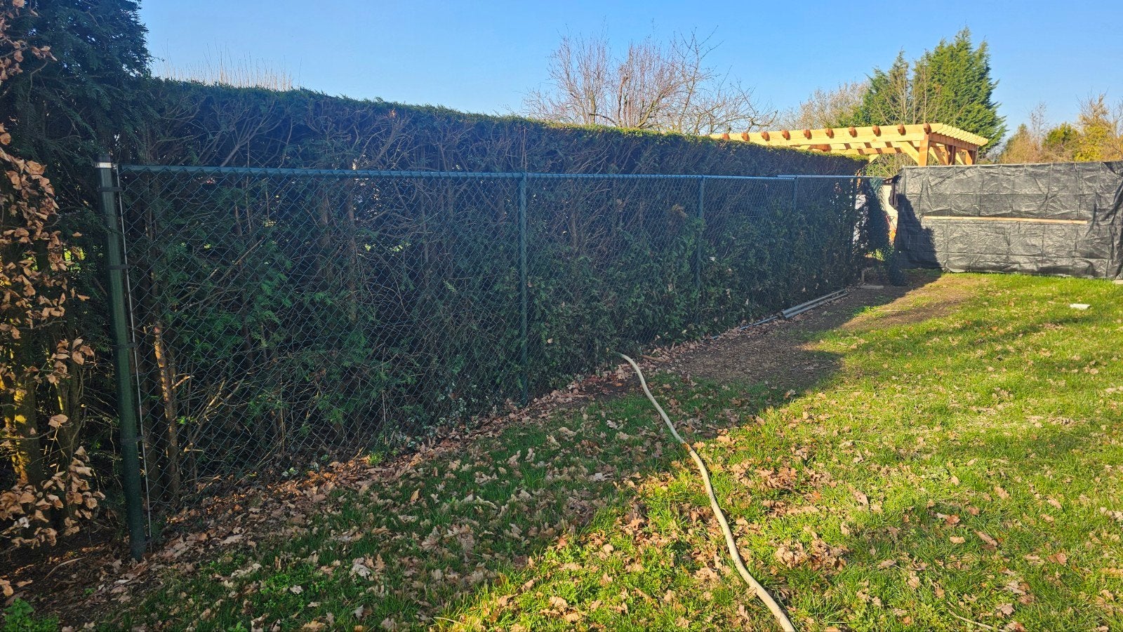 Kompleet Gaashekwerk 170cm, kleur groen, Tuin en Terras, Tuinhekken en Hekwerk, Ophalen, Gebruikt, IJzer, Gaashekwerk