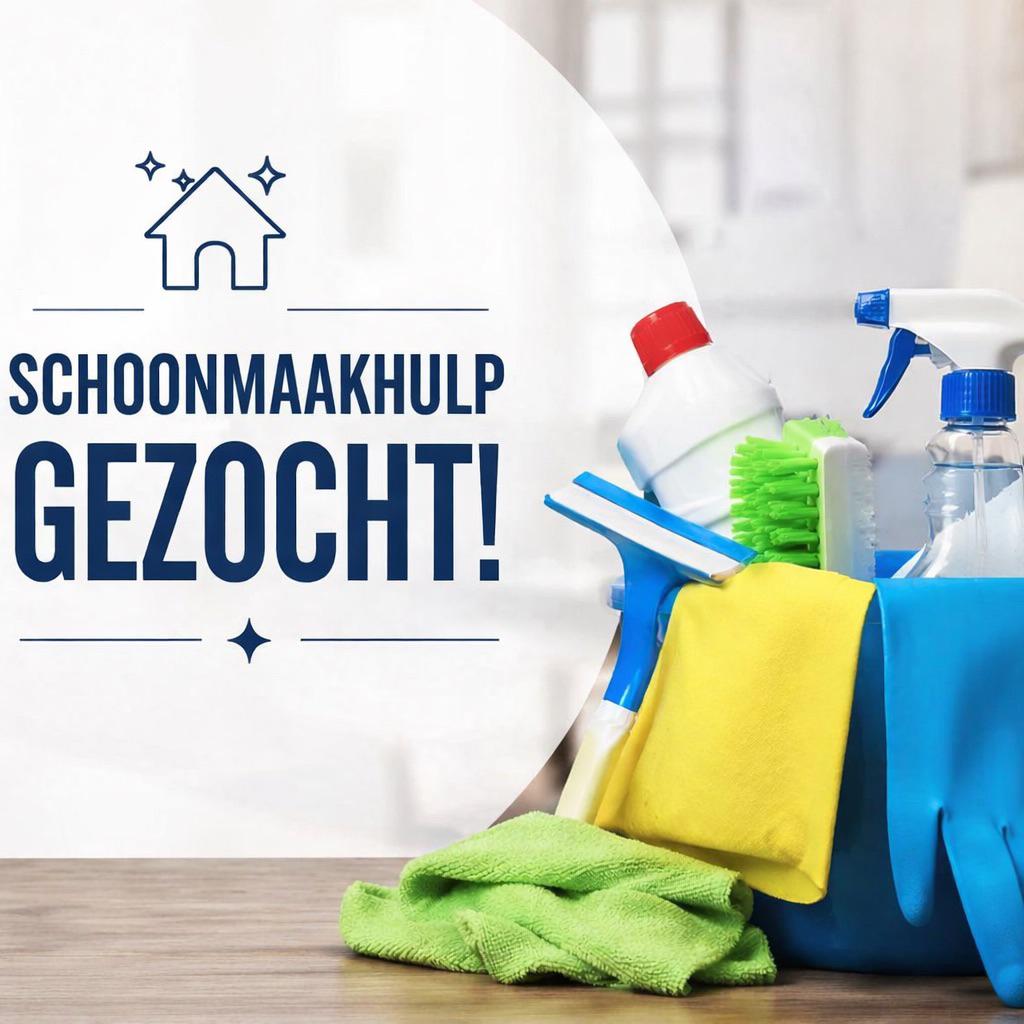 Schoonmaakhulp gezocht Harlingen, Schoonmaken woning
