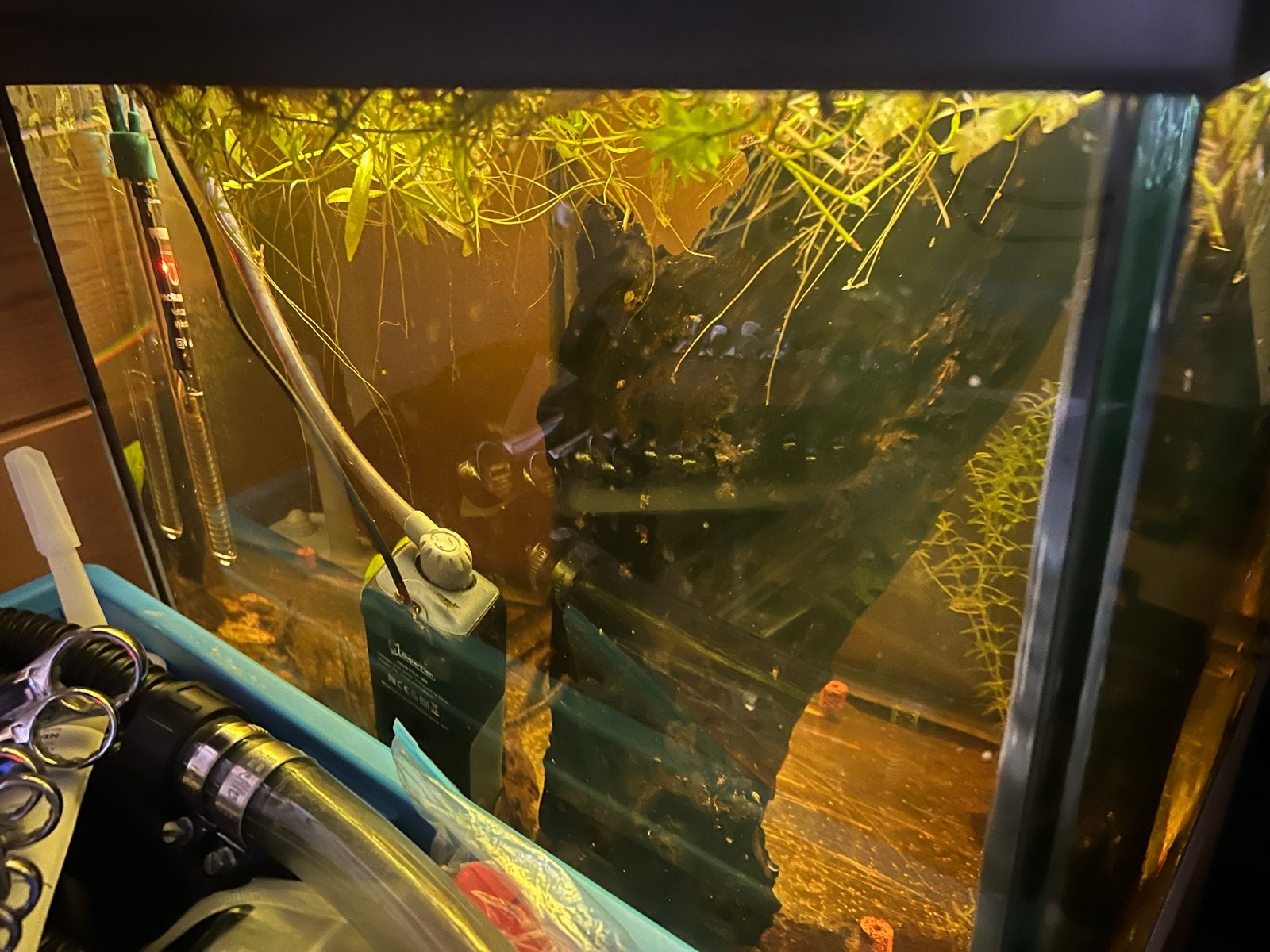 150 liter aquarium 60x50x60, Dieren en Toebehoren, Vissen | Aquaria en Toebehoren, Ophalen, Gebruikt, Leeg aquarium