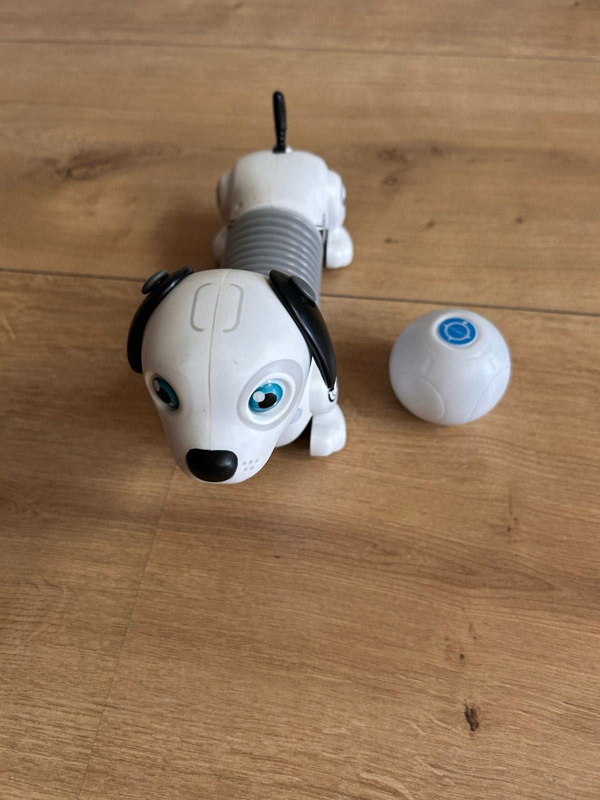 Zoomer Interactive Robot Hond met Bal, Ophalen of Verzenden, Gebruikt, Jongen of Meisje
