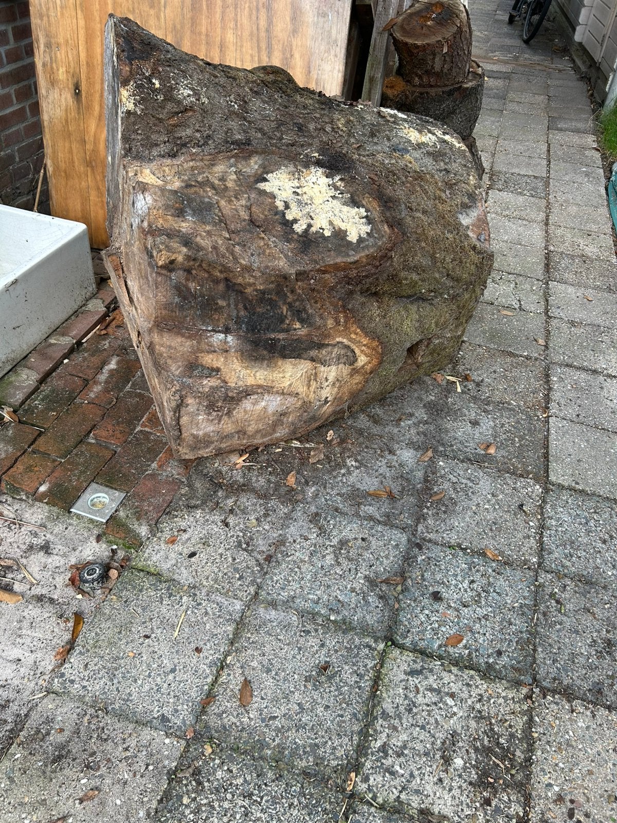 Foto 3 van Hout blok moet nu weg