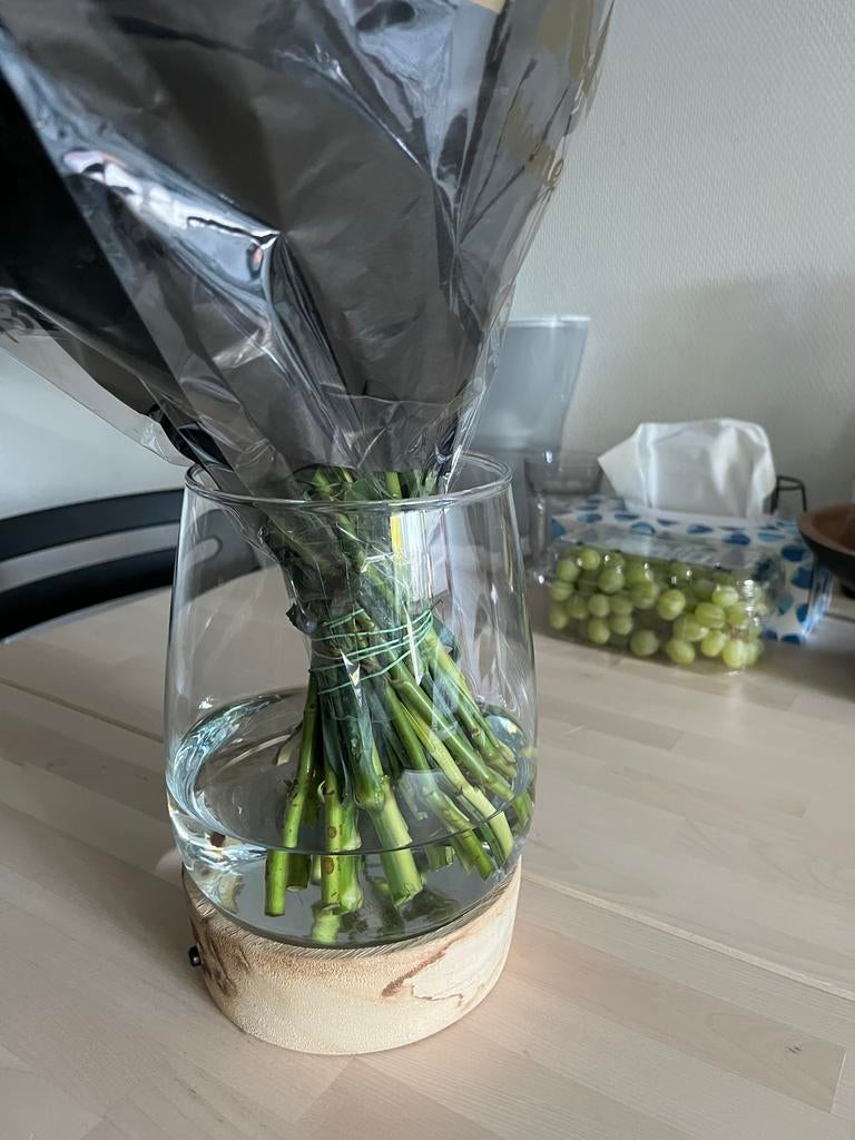 Glazen Vaas met LED Verlichting voor Planten, Ophalen, Overige kleuren, Minder dan 50 cm, Glas