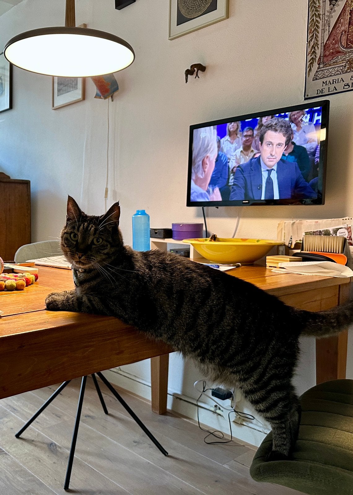 Salora TV 22 inch zwart, Overige merken, Gebruikt, 50 Hz, Ophalen of Verzenden