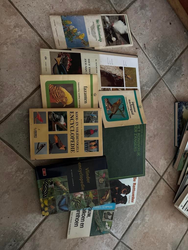 Diverse boeken over dieren: vogels, vissen, honden, vlinders, Ophalen, Gelezen, Vogels