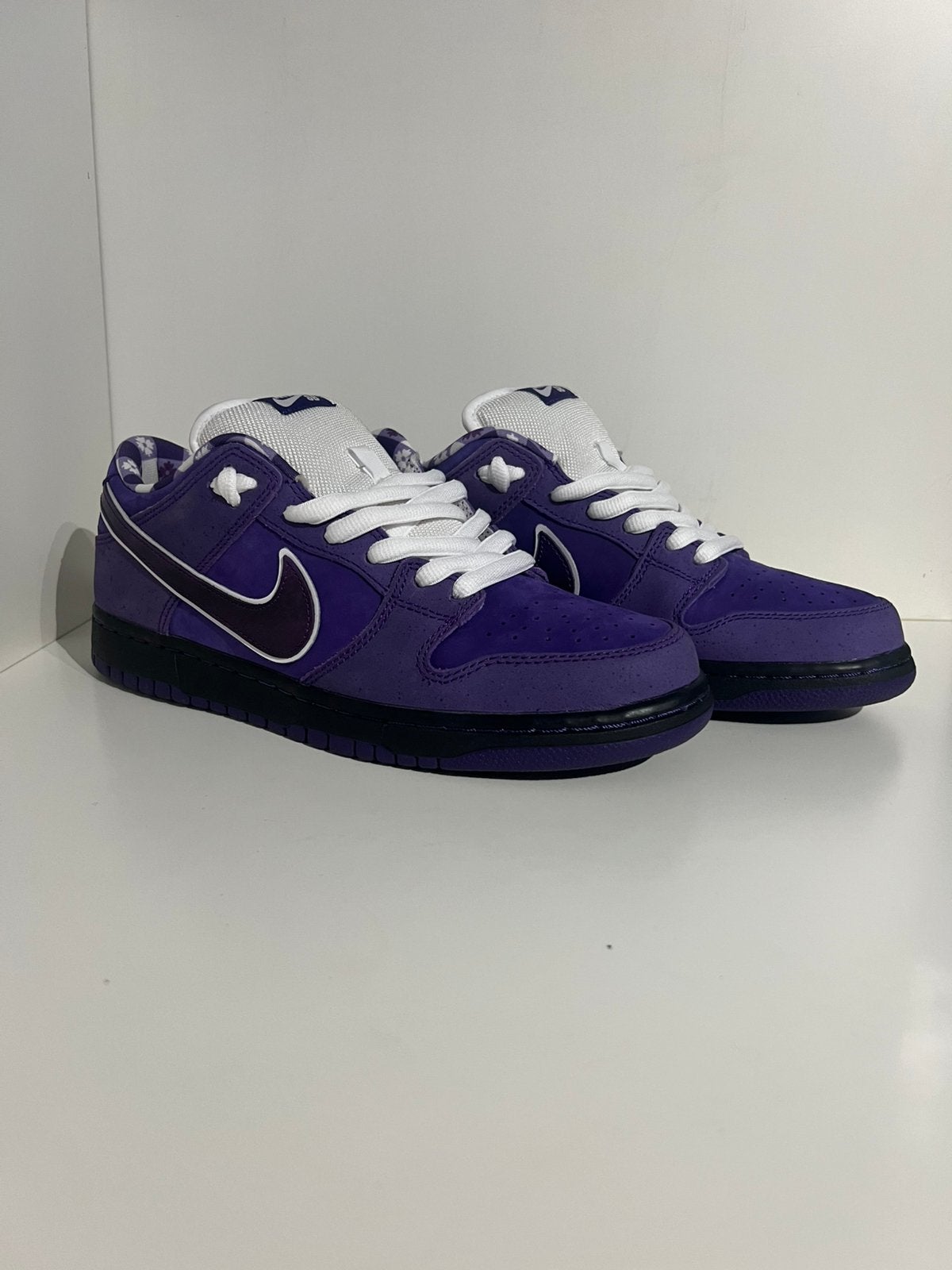 Nike SB dunk low X Concepts Purple Lobster (Special Box), Overige kleuren, ., Ophalen of Verzenden, .