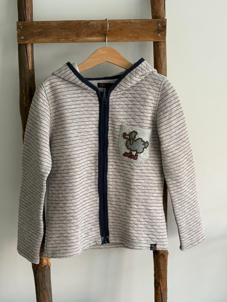 Vest van Didi, Kinderen en Baby's, Ophalen of Verzenden, Zo goed als nieuw, Meisje, Trui of Vest