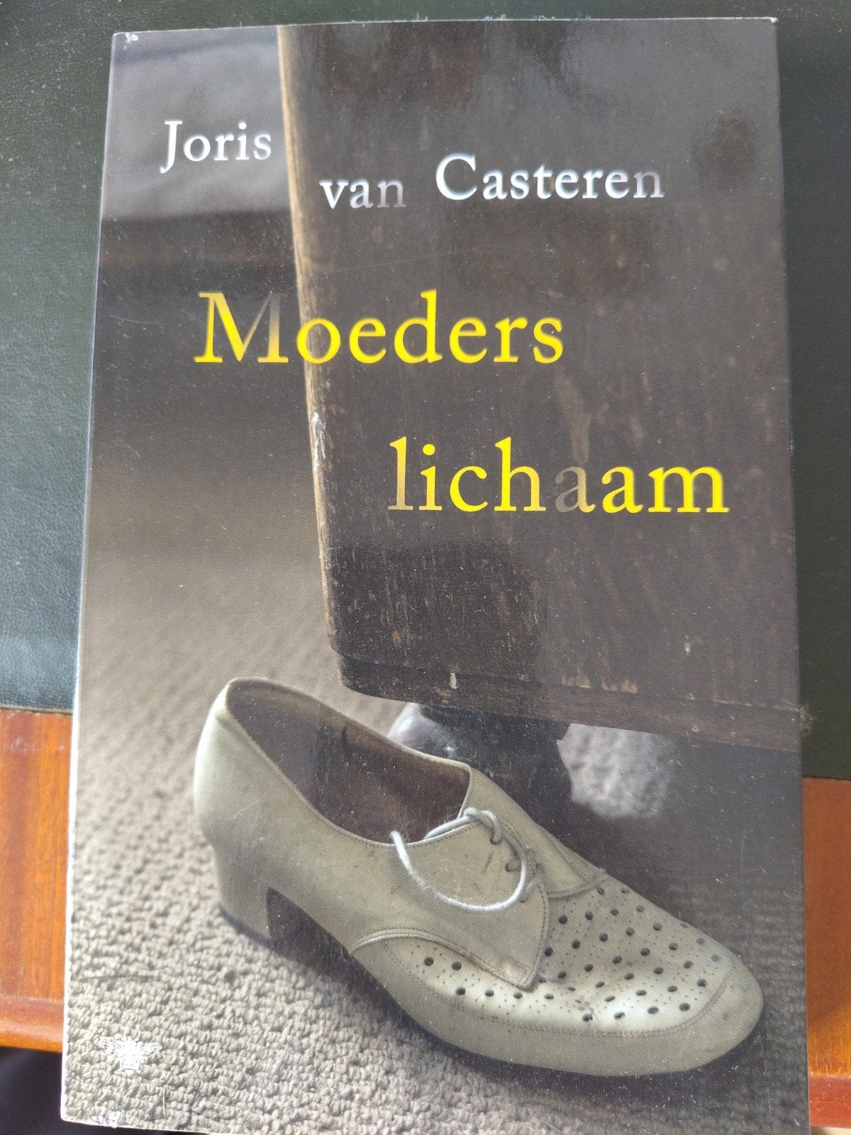 Moeders Lichaam - Joris van Casteren (Boek), Ophalen of Verzenden, Gelezen, Joris van Casteren, Nederland