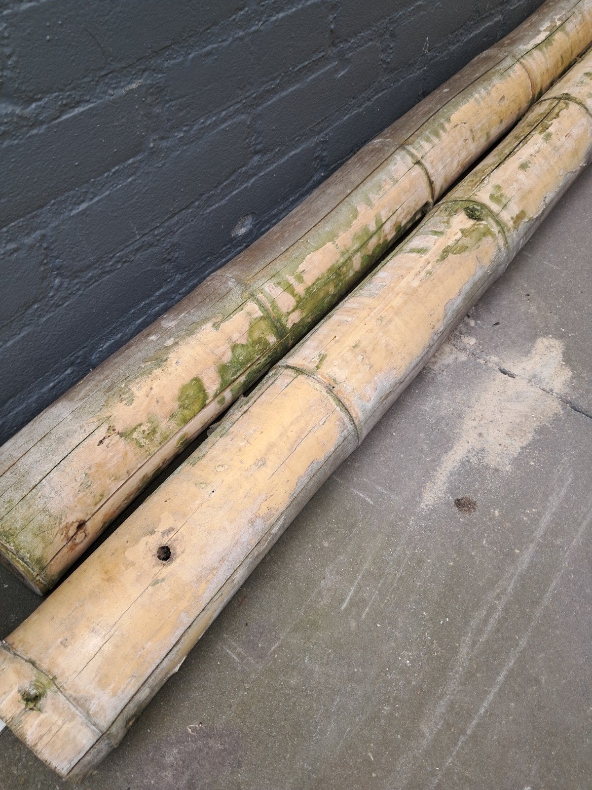 Bamboe palen 10cm doorsnee, 4m lang, Ophalen, Gebruikt, 250 cm of meer, Palen