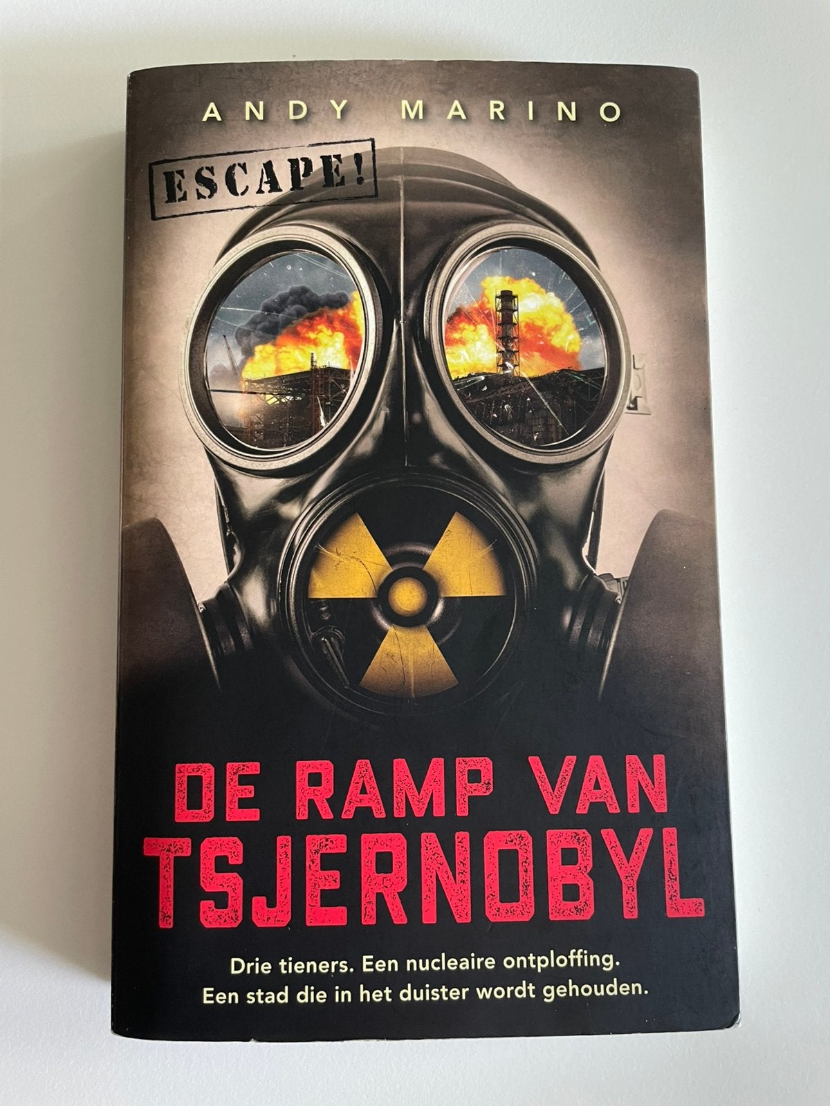 De ramp van Tsjernobyl, Boeken, Ophalen of Verzenden, 20e eeuw of later, Gelezen, Europa
