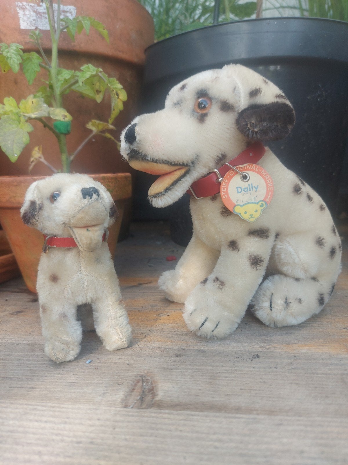 2 x oude Steiff hond 15 & 10 cm, Antiek en Kunst, Ophalen of Verzenden