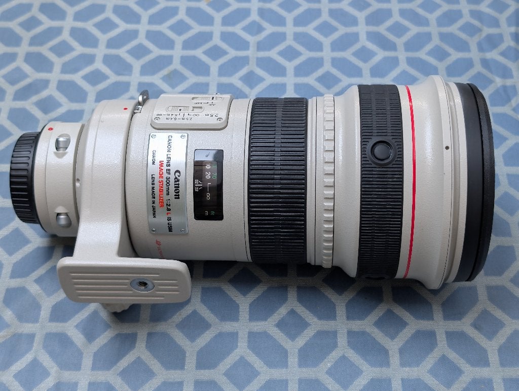 Canon EF 300mm 1:2.8 L IS USM - heel mooi en weinig gebruikt, Audio, Tv en Foto, Fotografie | Lenzen en Objectieven, Canon, Zo goed als nieuw