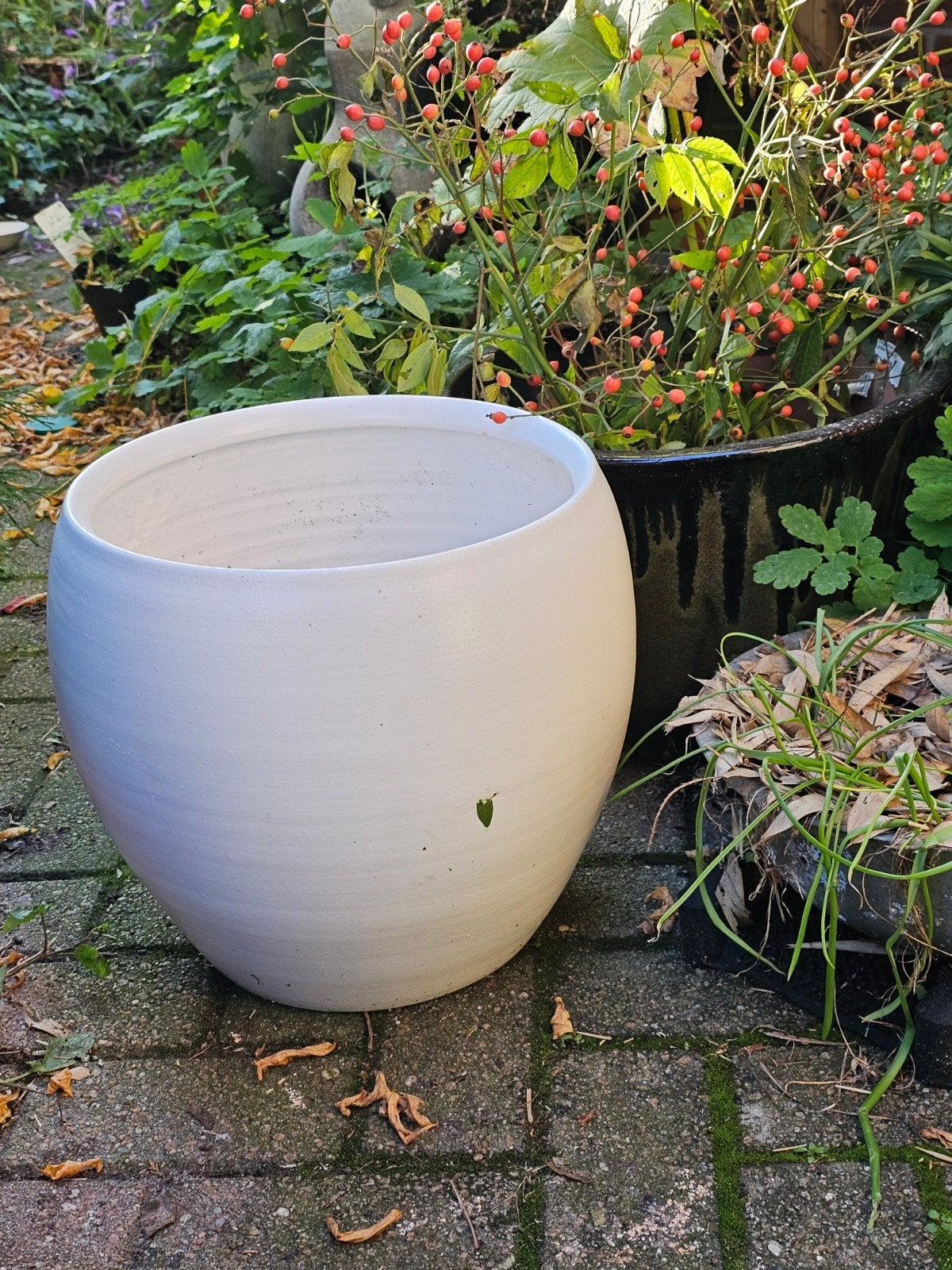 Grote witte bloempot voor kamerplanten, Tuin en Terras, Ophalen, Gebruikt, 40 cm of meer, Rond