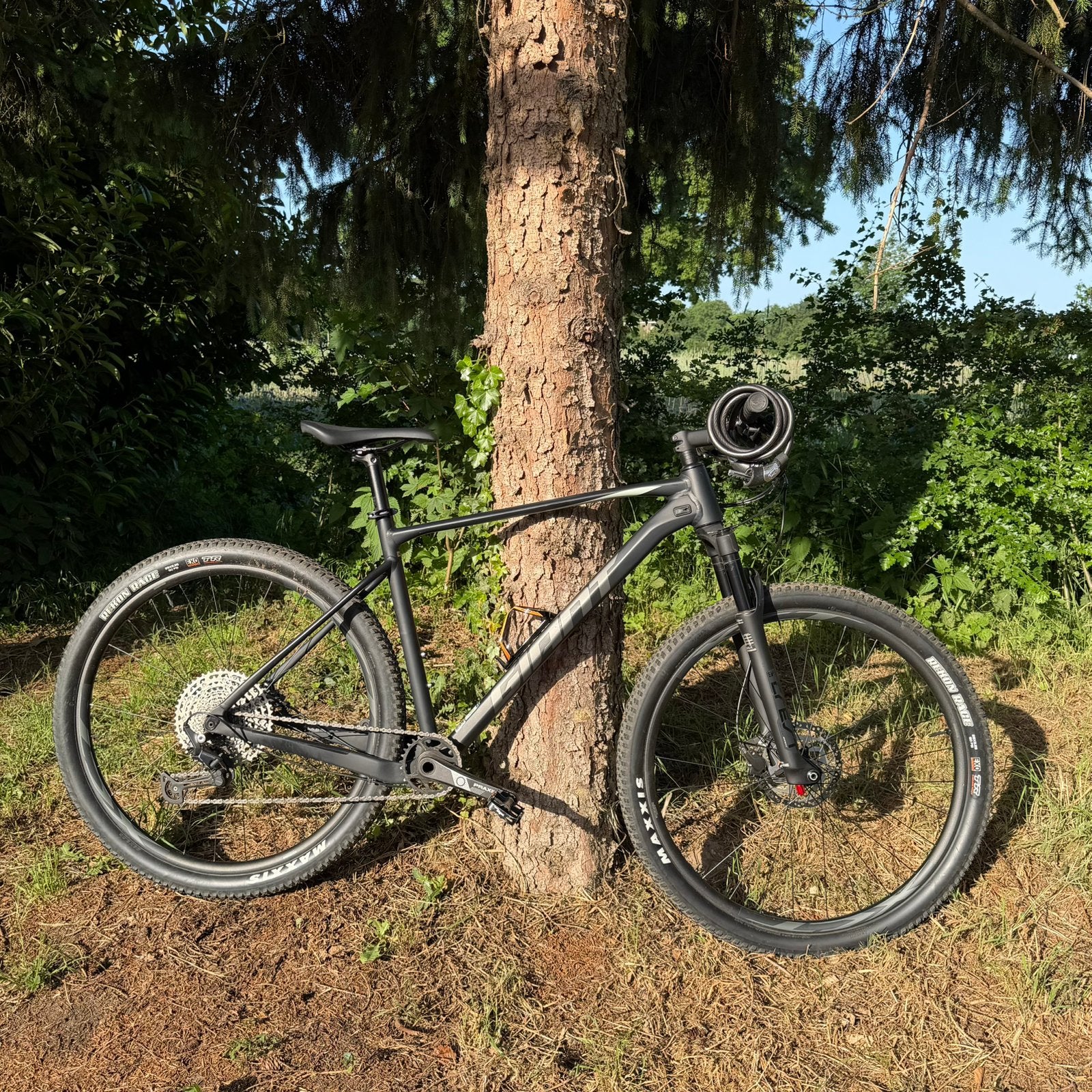 Fiets Giant XTC SLR 29 2 XL Black, Fietsen en Brommers, Fietsen | Mountainbikes en ATB, 57 cm of meer, Ophalen, Giant
