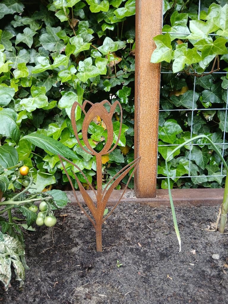 Cortenstaal tuindecoratie tulp, Tuin en Terras, Tuinbeelden, Ophalen of Verzenden, Nieuw, Metaal, Overige typen