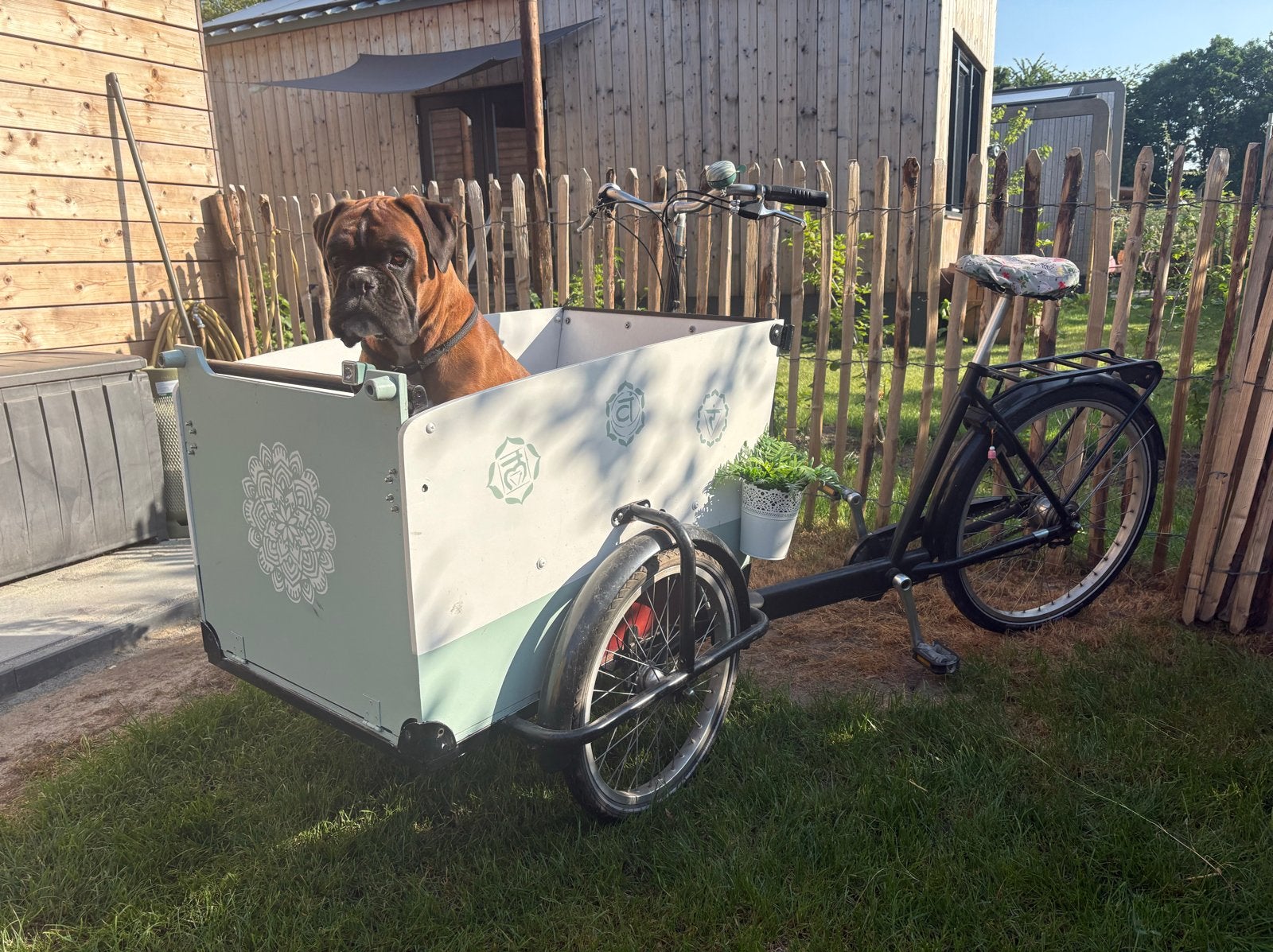 Retro Babboo Bakfiets zonder elect. motor., Ophalen of Verzenden, Gebruikt, Goederen, Overige merken