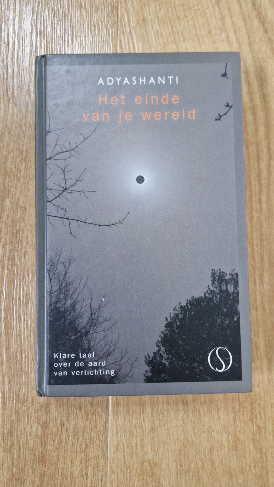 Adyashanti - Het einde van je wereld, Boeken, Ophalen of Verzenden, Zo goed als nieuw