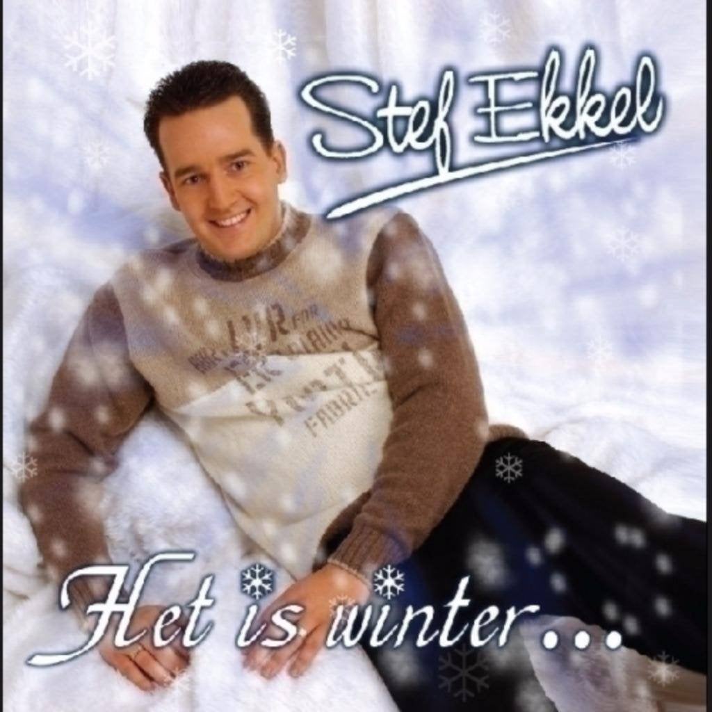 Stef Ekkel - Het Is Winter, Ophalen of Verzenden, Zo goed als nieuw, Overige genres