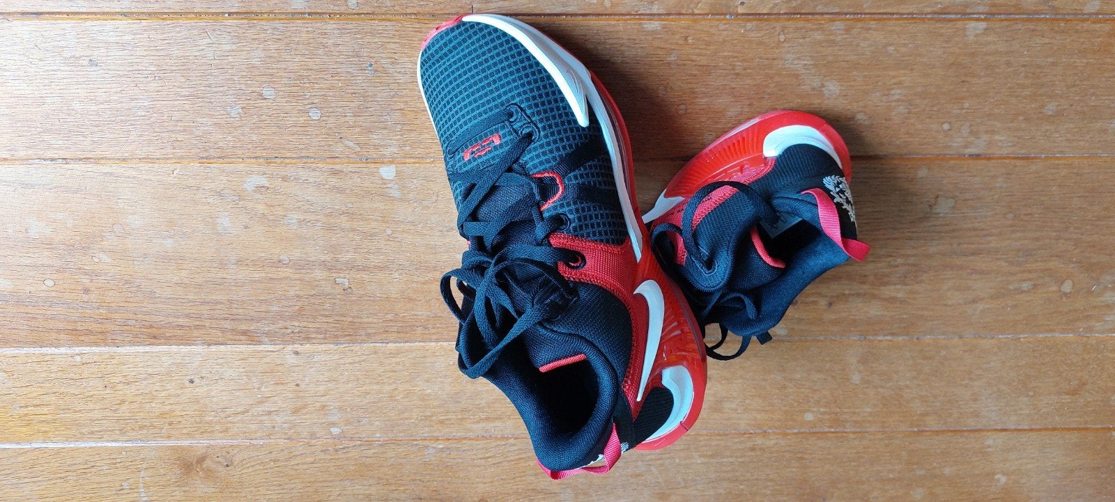 Basketbal schoenen maat 43 Nike, Ophalen of Verzenden, Nieuw, Schoenen