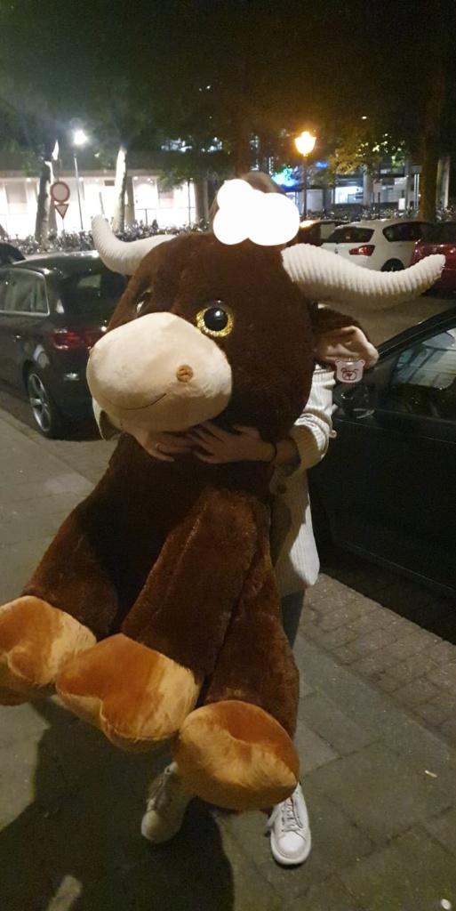 Grote pluche knuffel, Ophalen, Overige typen, Nieuw, Bruin