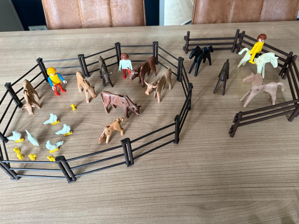 Playmobil Dierentuin met boerderijdieren en hekken, Kinderen en Baby's, Speelgoed | Playmobil, Ophalen of Verzenden, Gebruikt