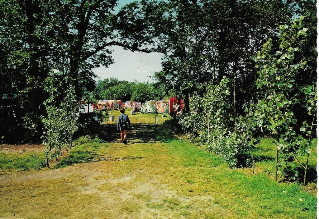 Renesse- -Camping Julianahoeve., Ophalen of Verzenden, 1960 tot 1980, Gelopen, Zeeland