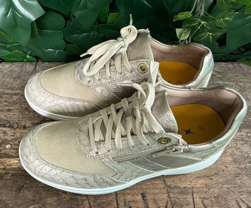 Nieuwe prachtige sneakers Xsensible maat 37 (wijdte H), Beige, Nieuw, Ophalen of Verzenden, Sneakers of Gympen