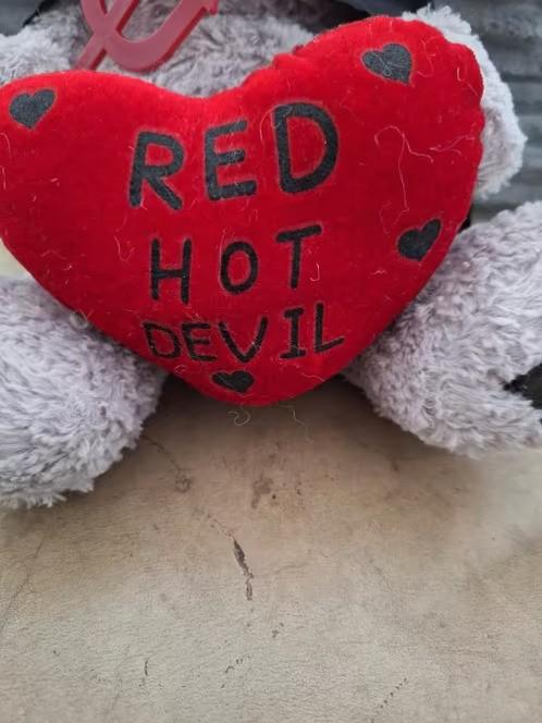 Red Hot devil knuffel h3, Overige merken, Overige karakters, Beer, Ophalen of Verzenden