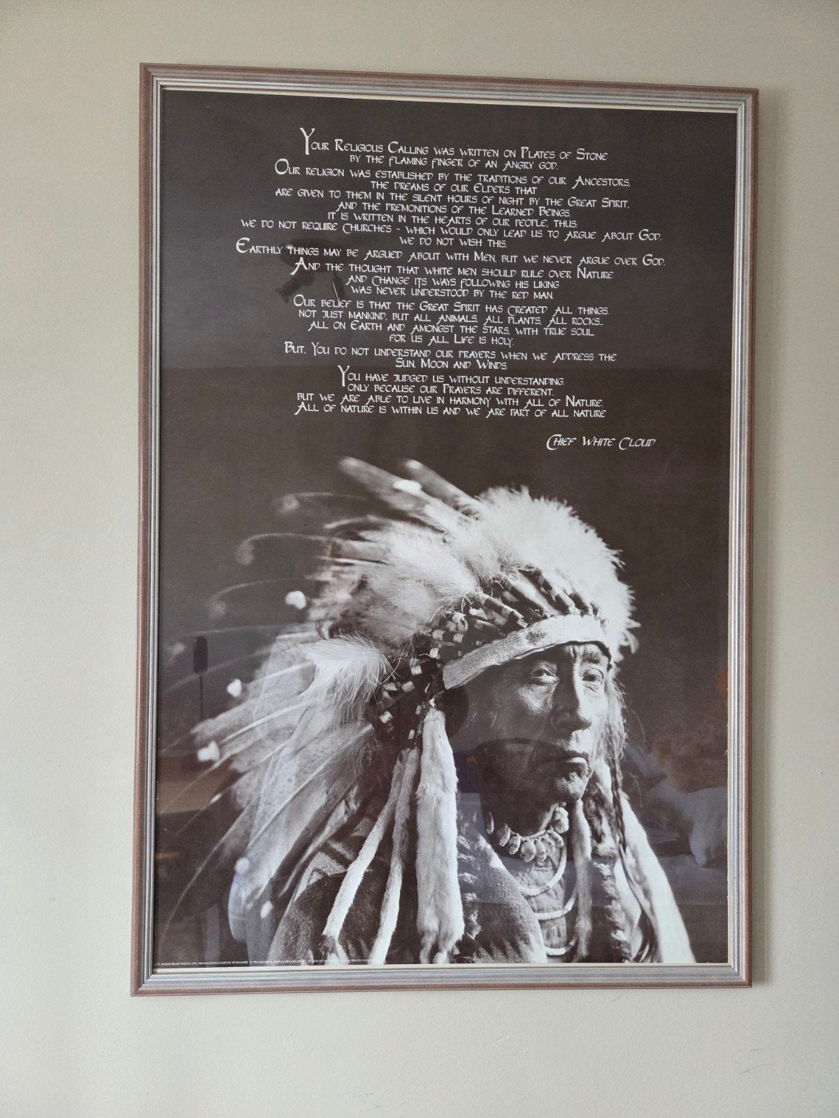schilderij wissellijst indiaan, Ophalen, Zo goed als nieuw, Foto of Poster