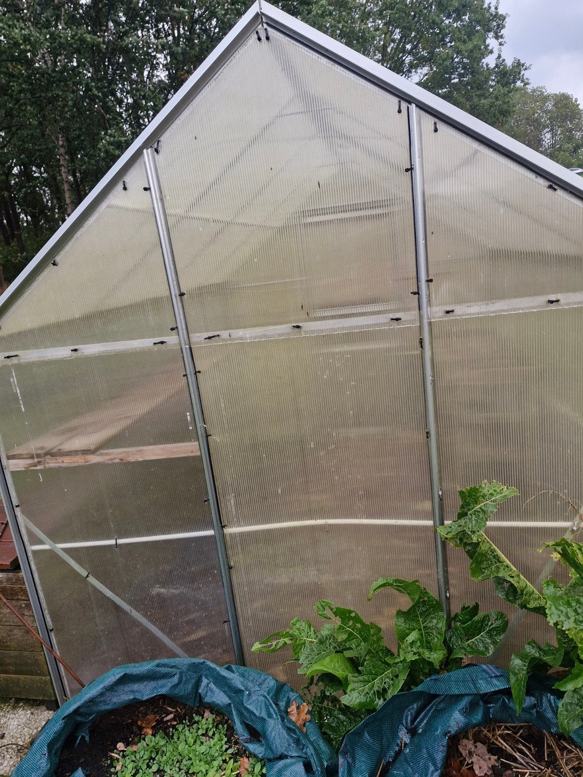 Kas met aluminium frame en polycarbonaatplaten, Tuin en Terras, Ophalen, Kweekkas, Aluminium, Polycarbonaat