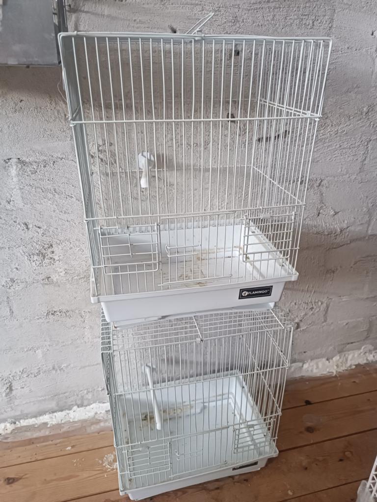 Vogels kooi, Ophalen