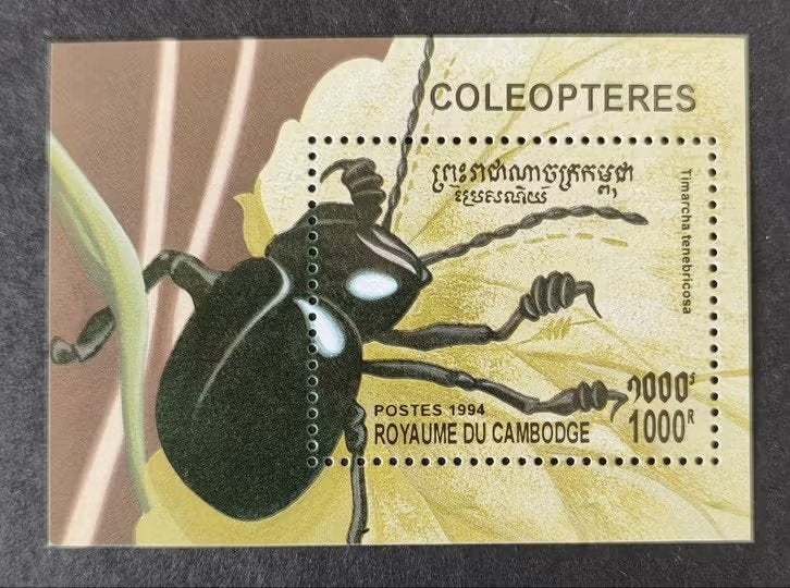 Cambodja postzegel 1994 - Kever Timarcha Tenebricosa, Verzenden, Postfris, Zuidoost-Azië