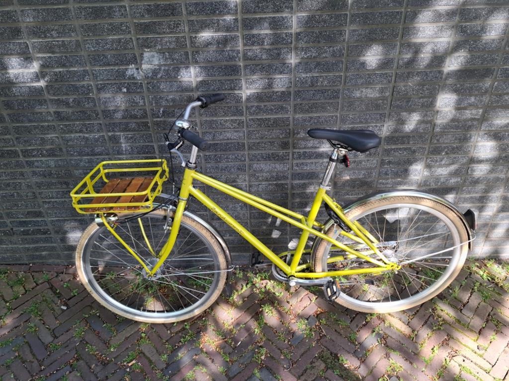 Unieke fiets "Zandvoort", Ophalen, Gebruikt, Overige merken