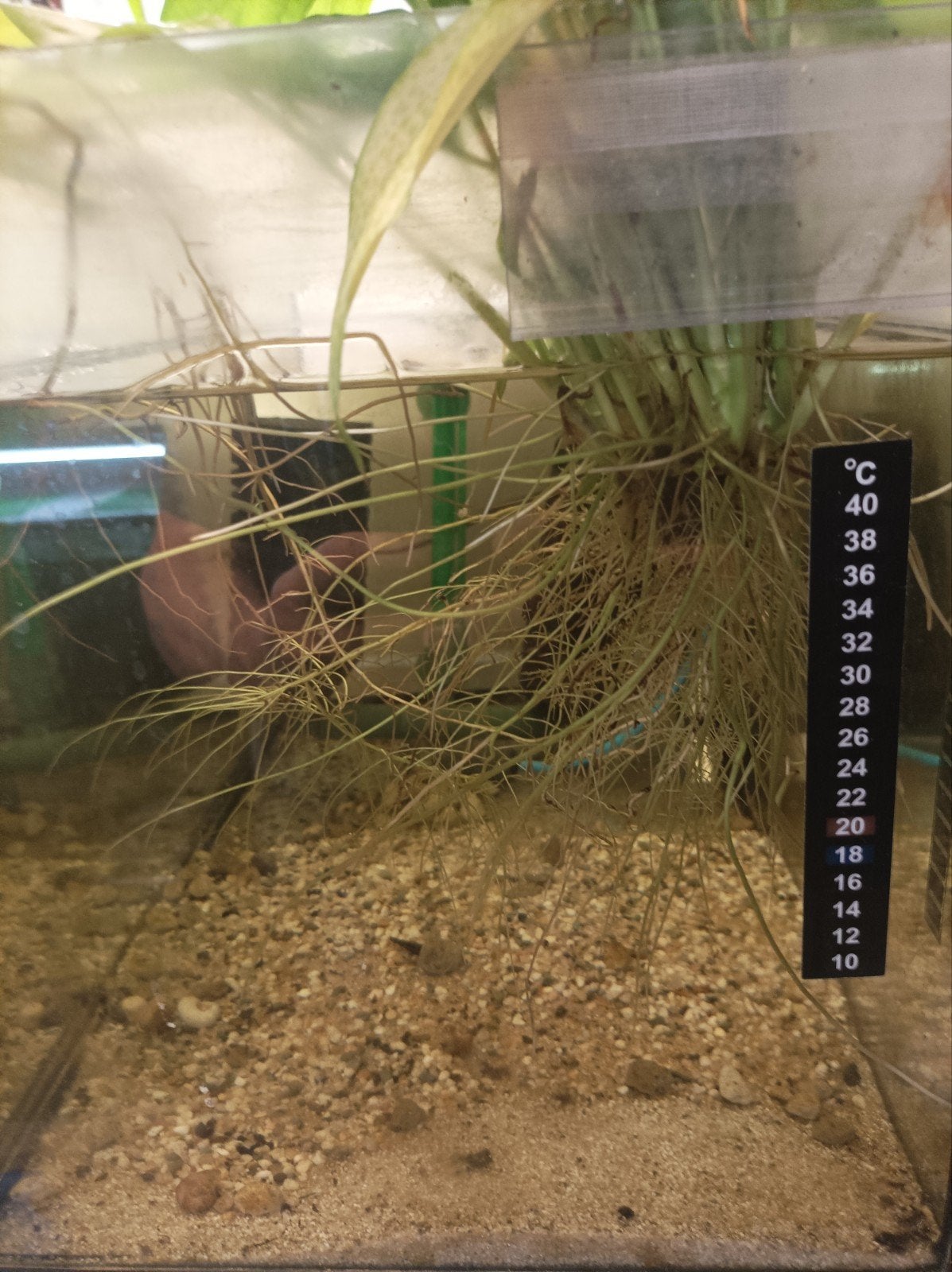 te koop aquarium's 3 stuks lek vrij 60x30x30 €10 per bak, Ophalen, Leeg aquarium