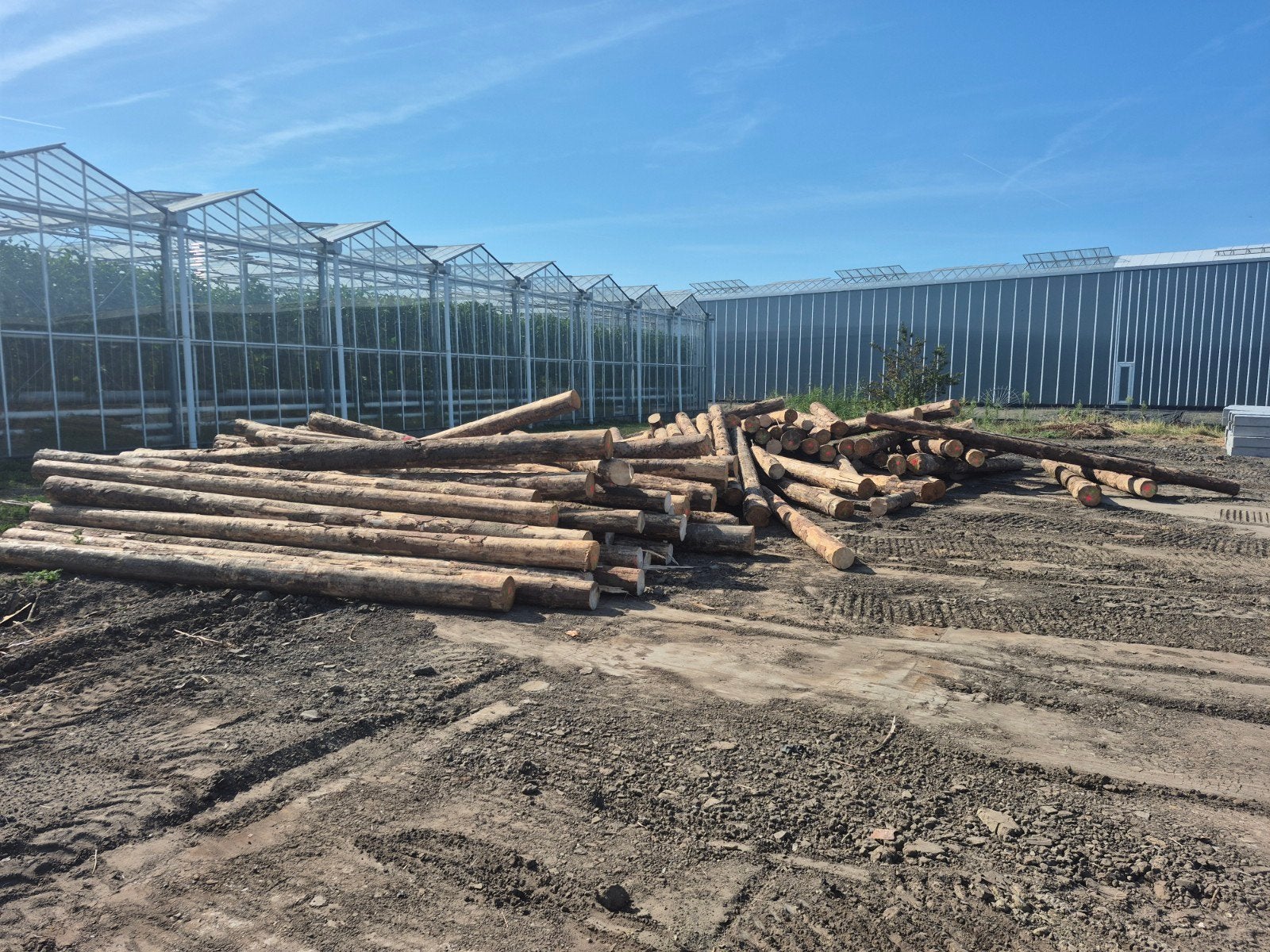 Boomstammen ca 3-5 meter openhaard hout, Ophalen, Balk, Overige houtsoorten, 50 mm of meer