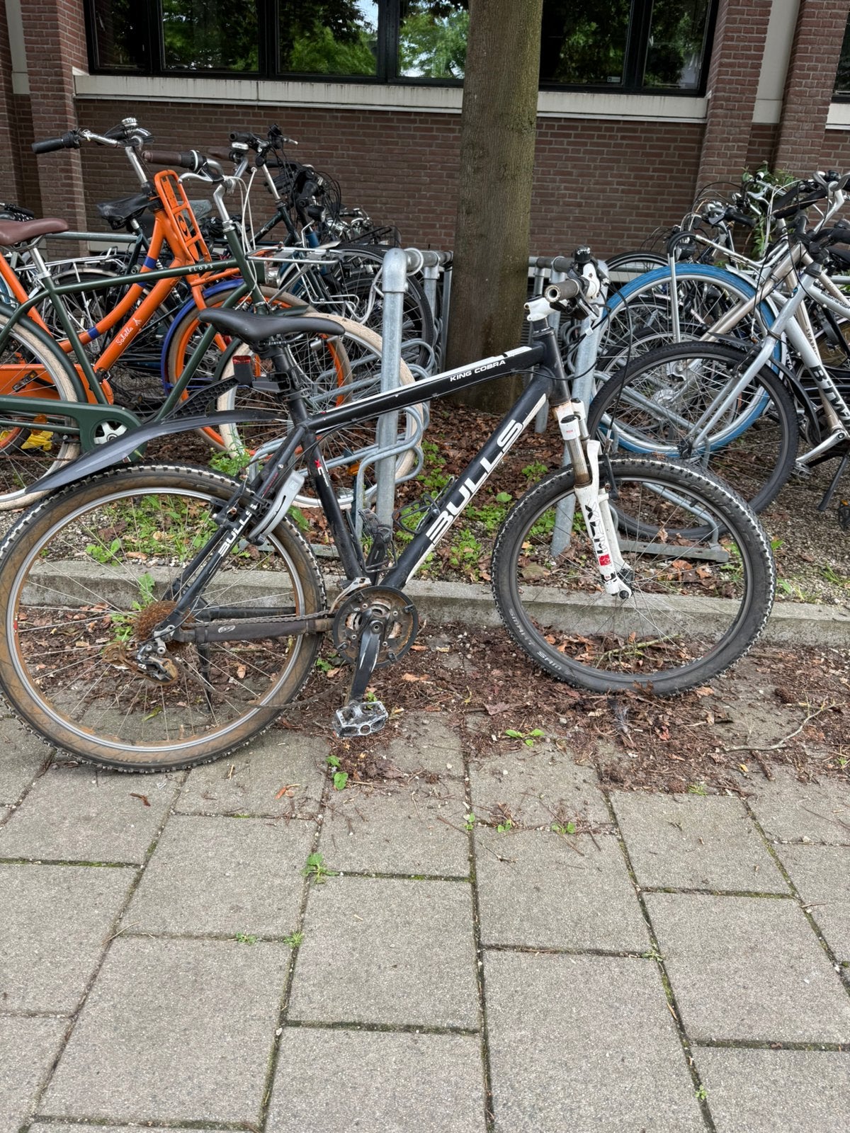 Bulls King Cobra mountain bike., Fietsen en Brommers, Fietsen | Dames | Sportfietsen en Toerfietsen, Overige merken, 26 inch, Ophalen of Verzenden