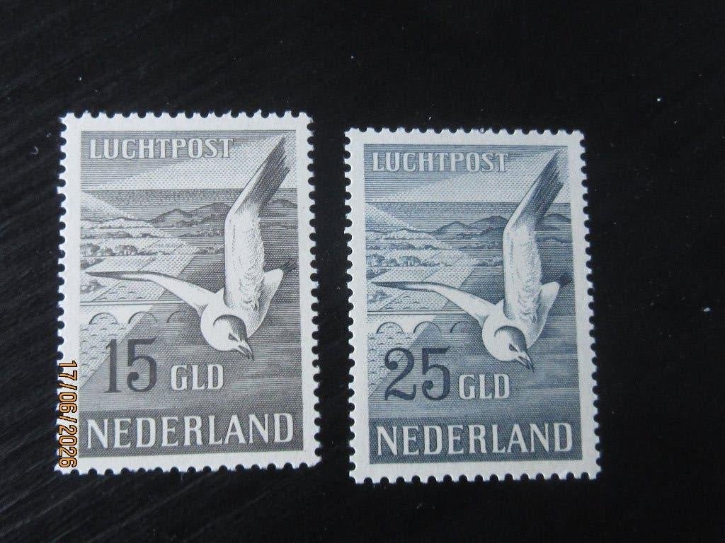 Nico Nederland LP 12/3 Postfris zonder plakker 1951, Ophalen of Verzenden, Nederland