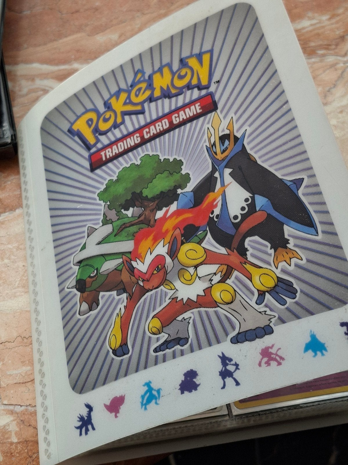 pokemonmappen, 5 totaal, Ophalen of Verzenden, Gebruikt, Meerdere kaarten
