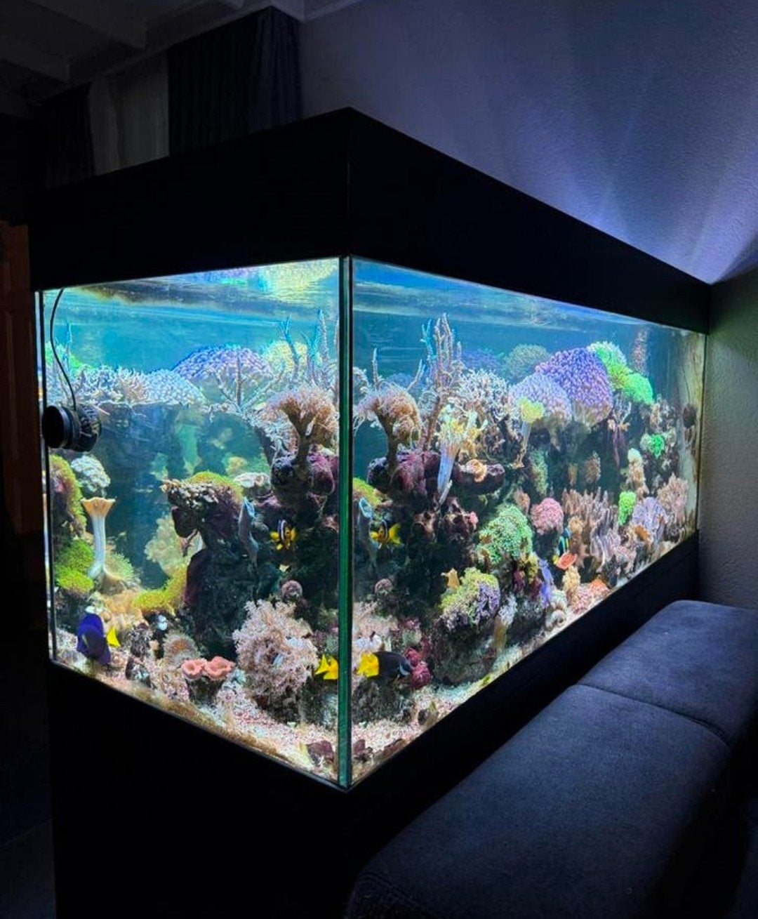 Peninsula aquarium incl techniek, Ophalen, Leeg aquarium