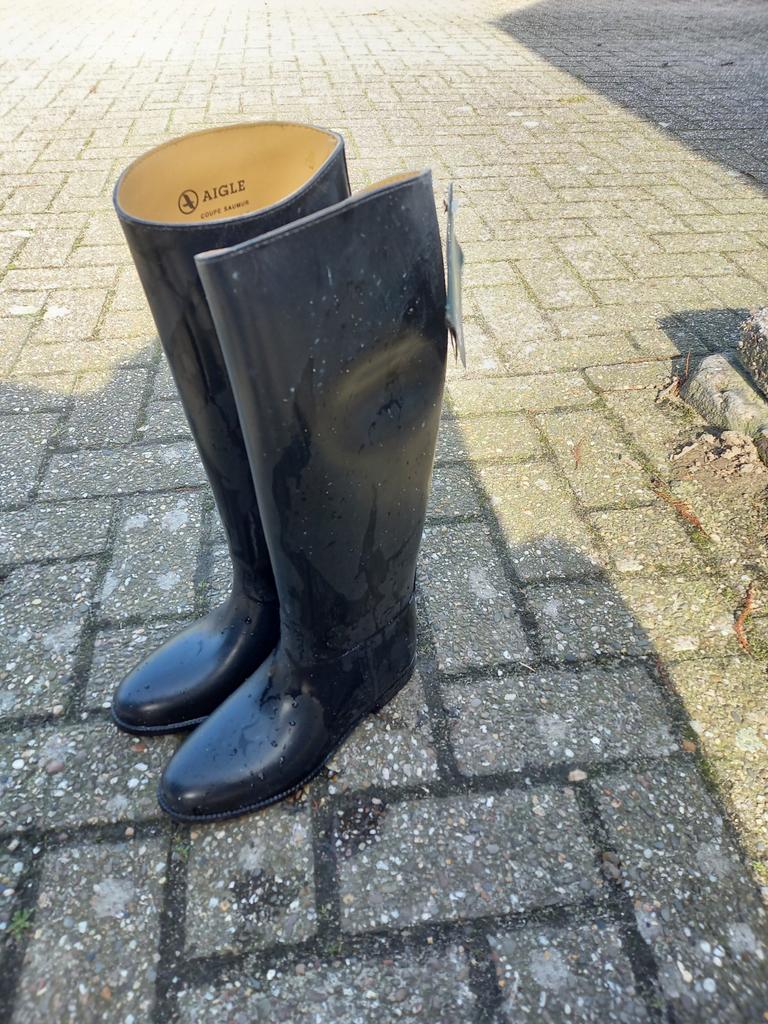 Aigle rijlaarzen maat 39, Ophalen, Nieuw, Dressuur, Schoeisel