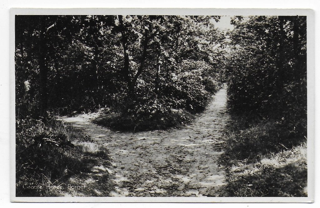 Borger Grote Heeze Ongelopen Ansichtkaart ( B6986), Verzamelen, Ansichtkaarten | Nederland, Ophalen of Verzenden, 1980 tot heden