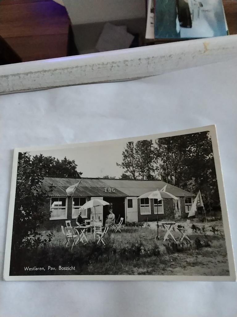 WESTLAREN. PAVILJOEN. BOSZICHT 1960, Ophalen of Verzenden, 1940 tot 1960