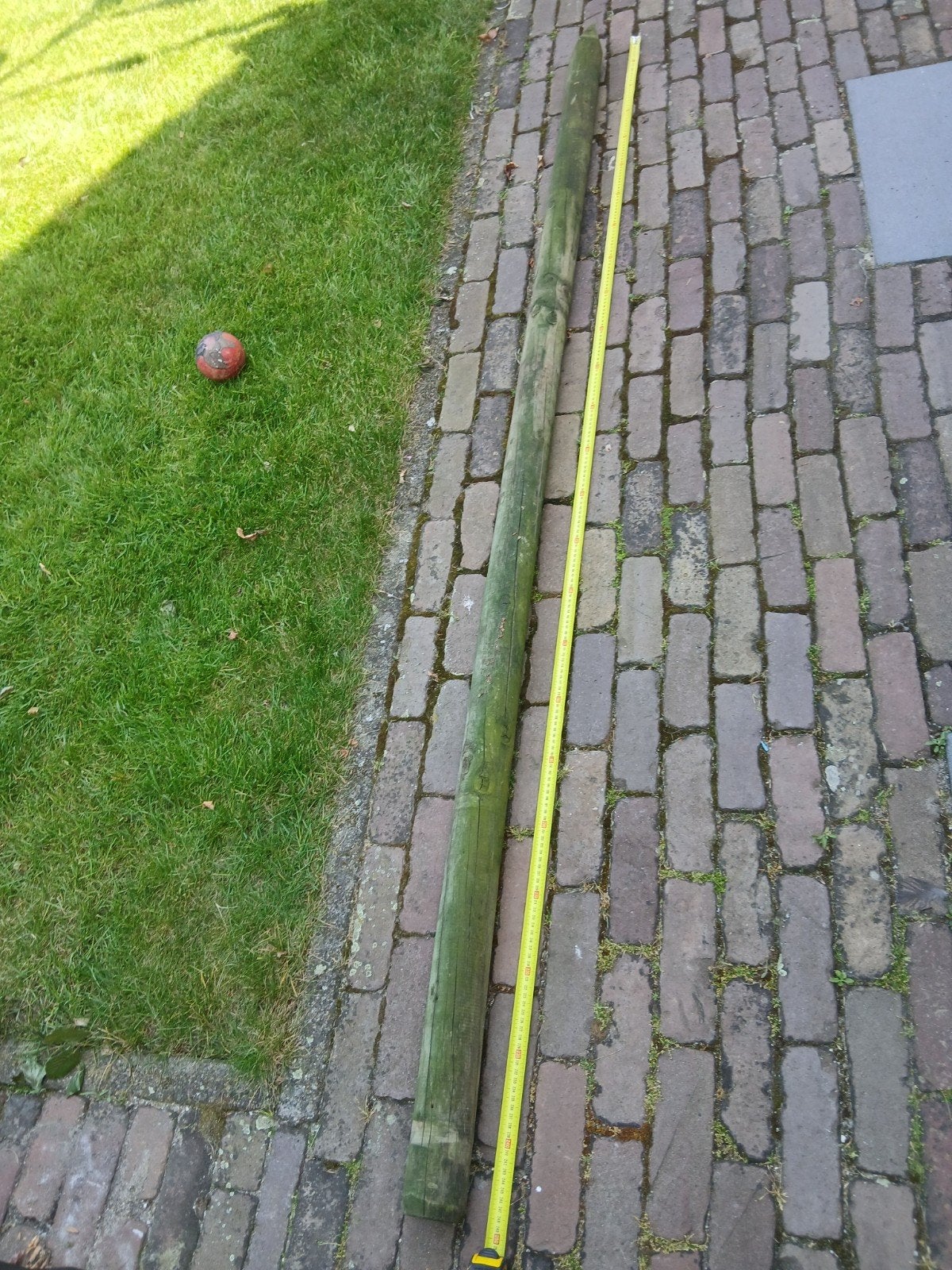 Boompaal, Tuin en Terras, Palen, Balken en Planken, Ophalen of Verzenden, 250 cm of meer, Palen