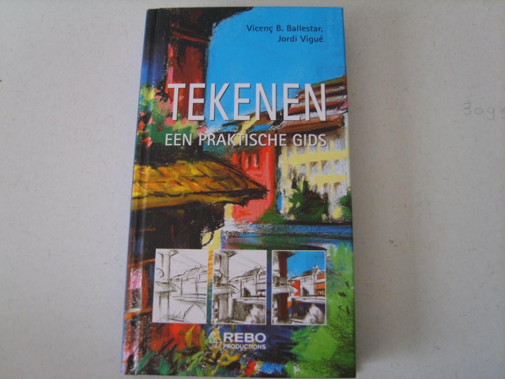 Tegeltje, een practische gids, Ophalen of Verzenden
