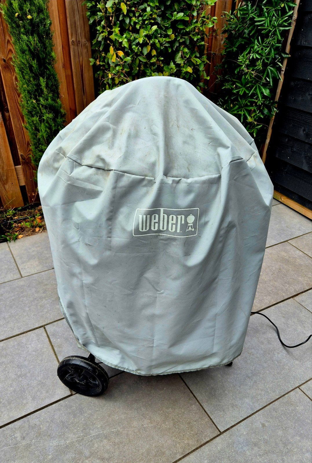 Complete Weber BBQ met electrischegrill en accessoires, Ophalen, Zo goed als nieuw, WEBER BBQ