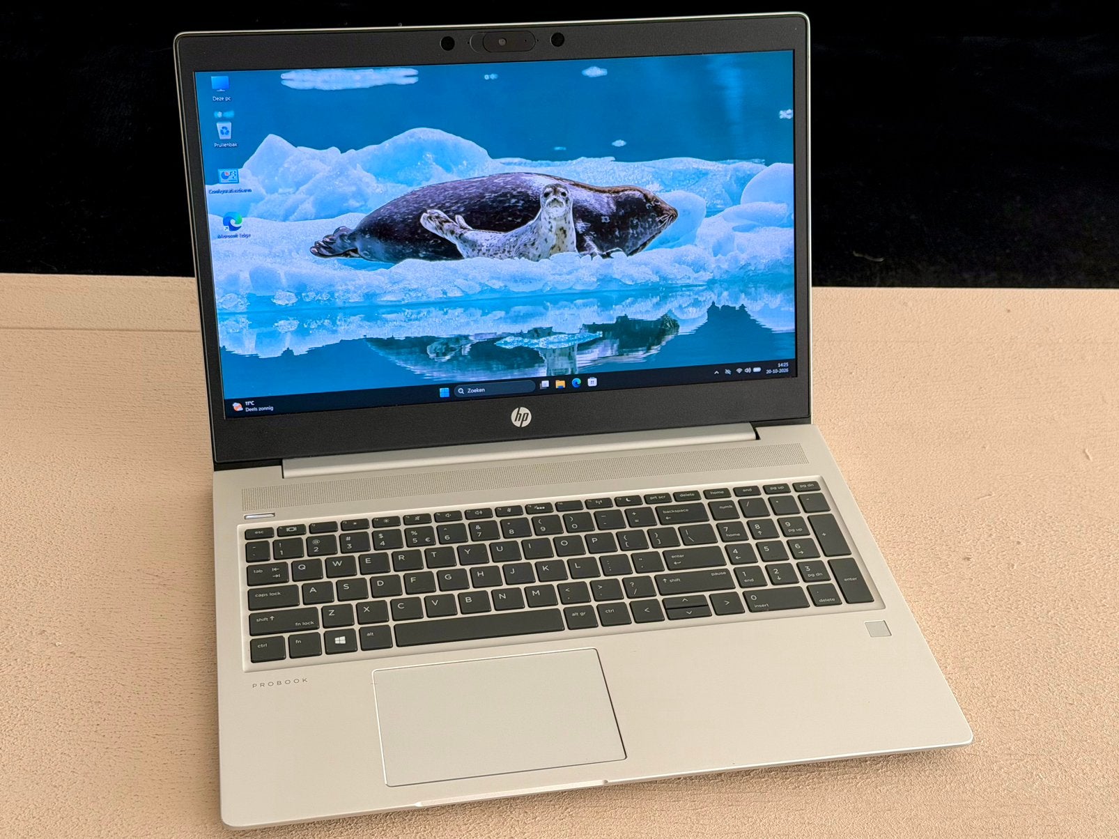 Hp Probook | i5 - 10e | 16GB RAM, 256GB SSD | Win 11 +Office, Met videokaart, Ophalen of Verzenden, Zo goed als nieuw, Gaming