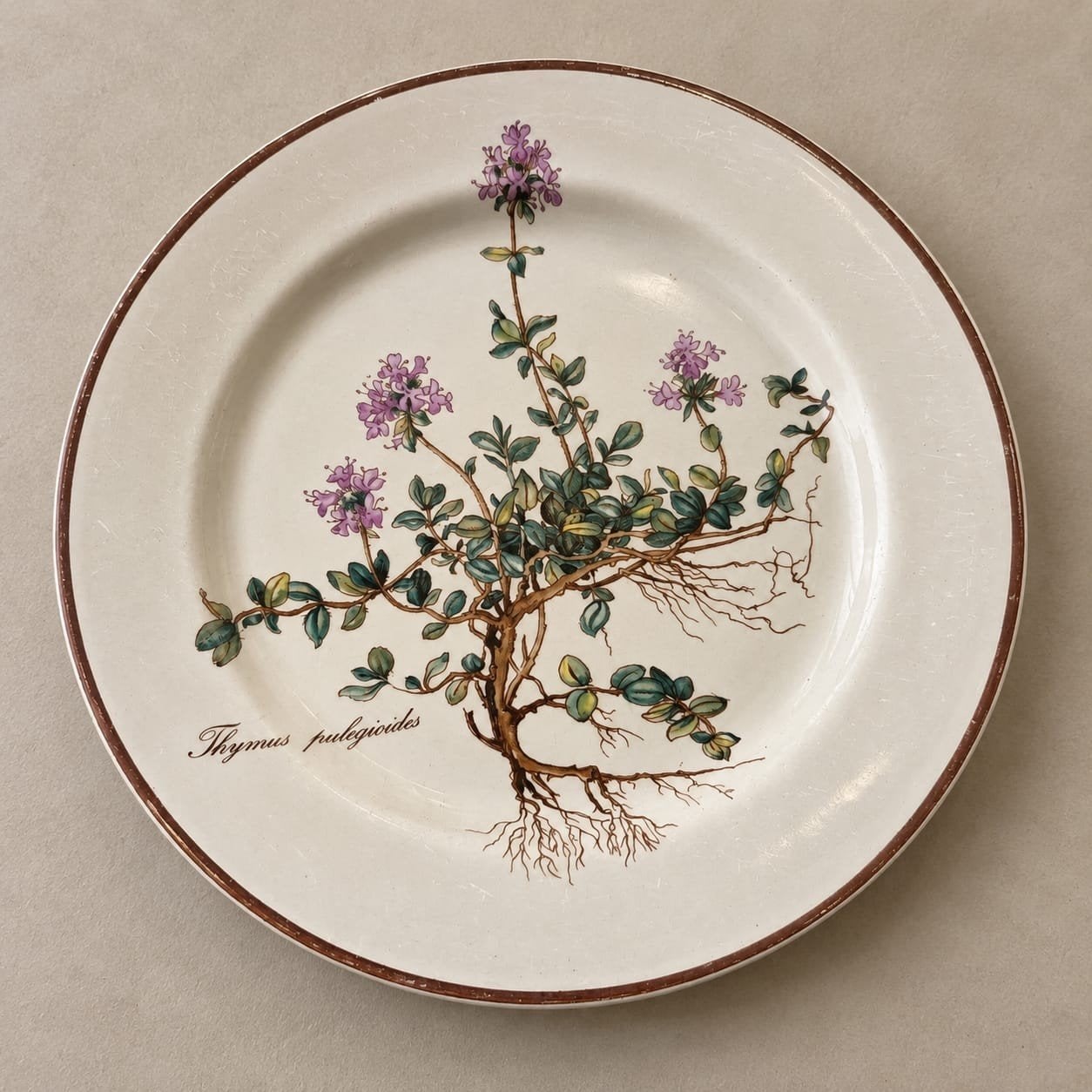 5 Villeroy & Boch Botanica ontbijtborden Thyme, Ophalen, Gebruikt, Villeroy & Boch, Bord(en)