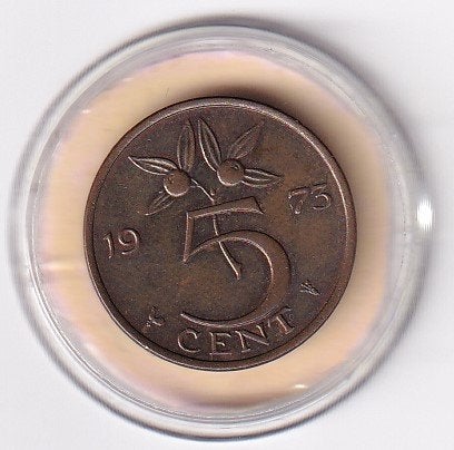5 Cent 1973 Zeer Fraai met diverse muntkleuren, Ophalen of Verzenden, Koningin Juliana, 5 cent, Losse munt