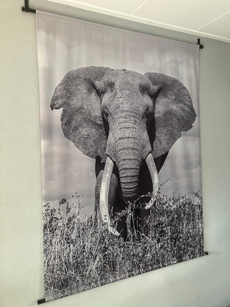 Wanddoek met ophsng systeem in goede staat, Minder dan 50 cm, Ophalen of Verzenden, Zo goed als nieuw, Schilderij