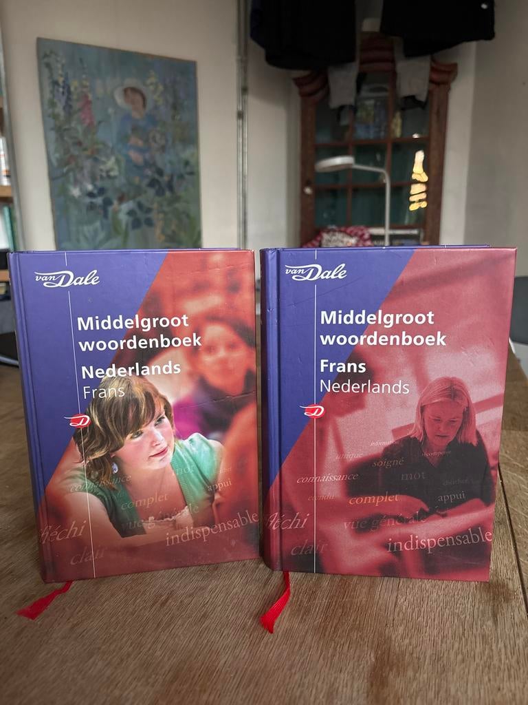 Van Dale Middelgroot Woordenboek Frans-Nederlands en N-F, Boeken, Woordenboeken, Ophalen of Verzenden, Zo goed als nieuw, Van Dale